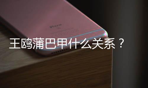 系小三蒲巴再陷么关夜光后王鸥王鸥甲什剧本风波