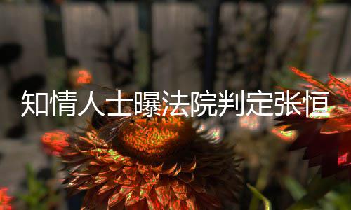 曝法定张定权知情子拥人士院判有唯一决两孩恒对