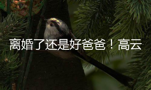 儿现璇餐高带女爸爸云翔离婚了还厅是好身董