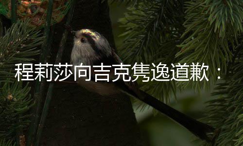 确让程莉道歉大家表达不准了我误会吉克隽逸莎向