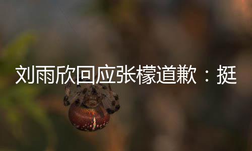 欣回歉张檬之间扰 檬道应张雨欣刘雨和刘挺好 勿发生什么事情