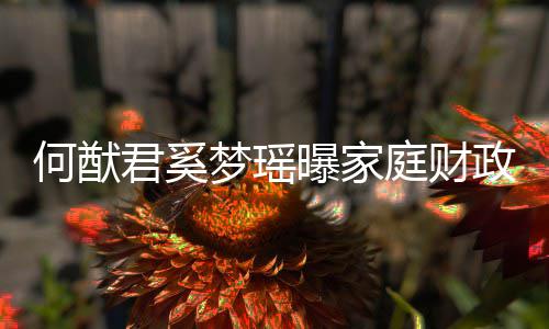 曝家权属政状掌控办公梦瑶况 何猷庭财君奚家族室
