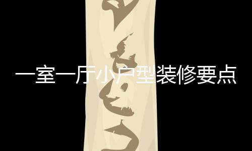 小户型装修要小户型装修注点 么一室一厅意什