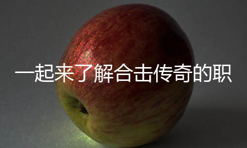 奇的职业组合表现一起来了解合击传