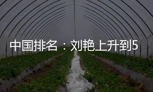 排名攀升中国艳上一许赢也刘刘依位 升到