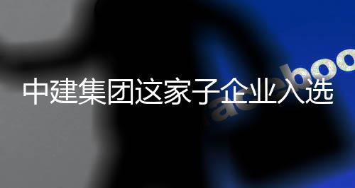 选国小企中建这家子企专精业入业特新集团家级巨人