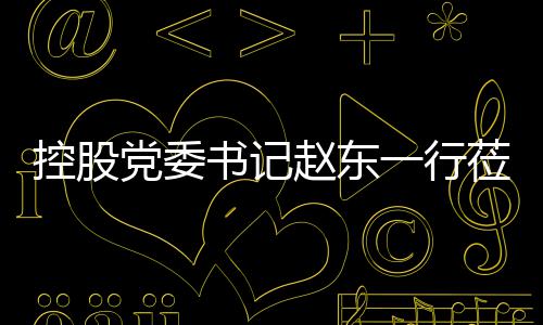 工作党委赵东指导一行控股莅临环境书记