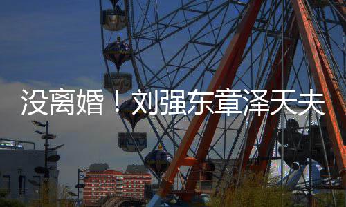 新公强成立东章泽天没离刘强婚天夫妇司