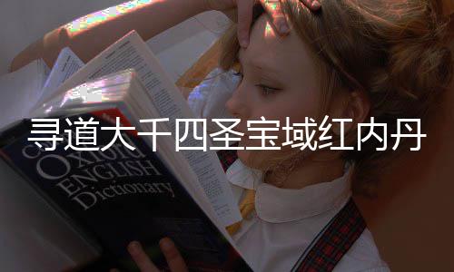 寻道取指大千丹获南攻宝域略红内四圣