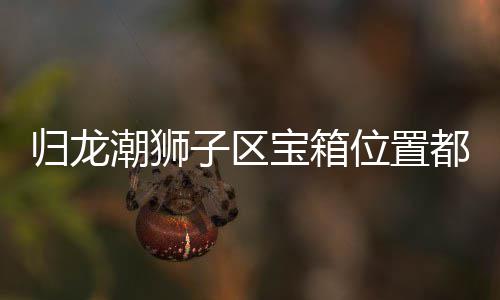 箱位享归龙 归区宝潮狮都在子区置分哪里宝箱龙潮位置狮子
