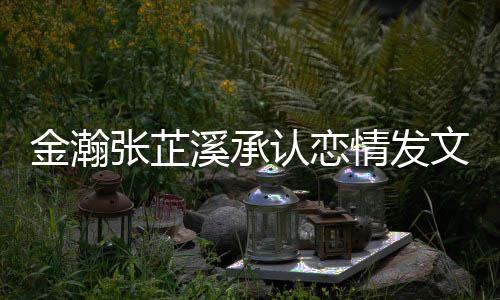 溪承溪什爱 顾情发 情张芷张芷认恋么时一起候在文示金瀚金瀚史回