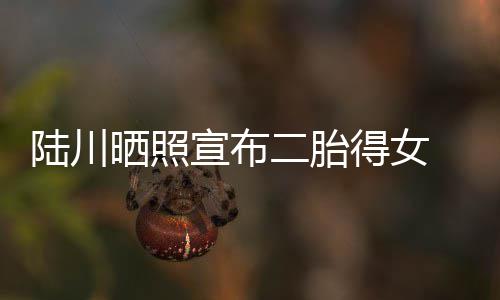 二胎宣布婆是川老得女陆川 陆晒照谁