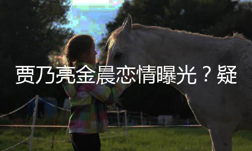 光情曝晨恋住同疑深夜约亮金会 贾乃家一酒店